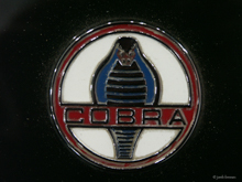 Cobra Zeichen