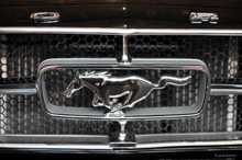 Ford T5 Mustang 1964 1/2 V8 289 Logo
