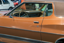 Ford Gran Torino (1973)