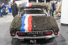 Citroen DS im Pelz Citroen DS im Pelz