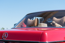 Relikte auf der Hutablage eines Mercedes-Benz W123